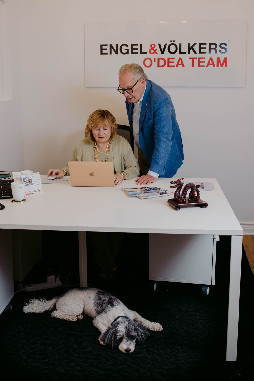 real estate agent team with their dog looking over laptop in their offices