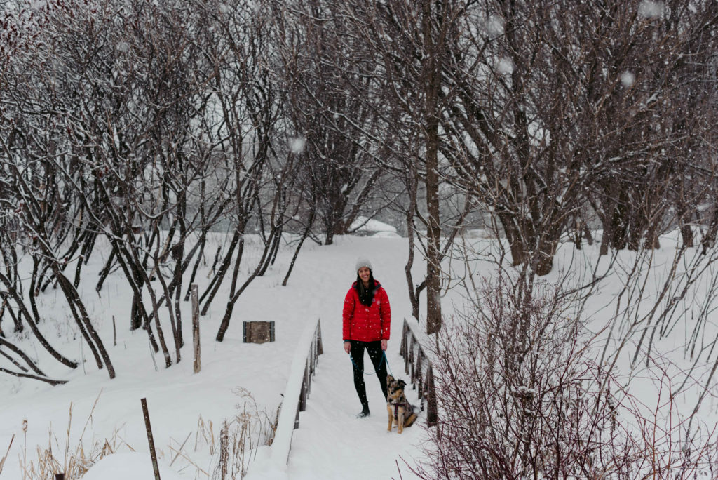 female entrepreneur walking her dog in the snow on a wooden bridge in the forest